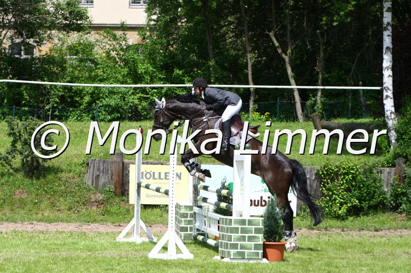 005M5027_Abygale_L Springen.JPG